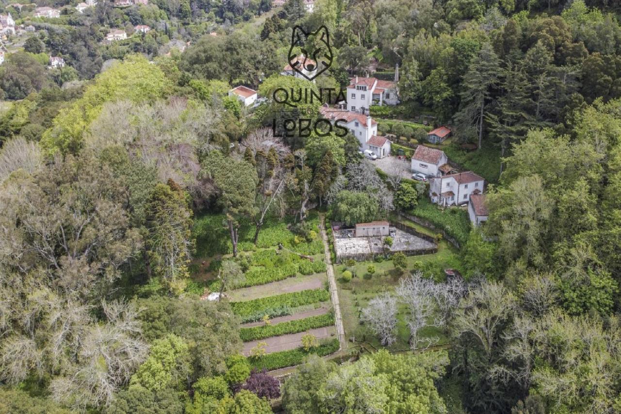 Quinta dos Lobos Boutique Hotel - Art&Nature Experience Sintra Exterior foto