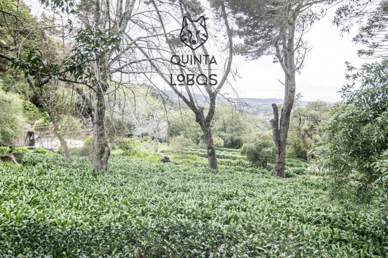 Quinta dos Lobos Boutique Hotel - Art&Nature Experience Sintra Exterior foto